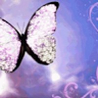 Profile Picture of Alexandra Spoelker (@alexandra-spoelker-1) on Quora