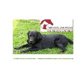 Profile Picture of Tierarztpraxis Illertissen (@tierarztpraxis_illertissen) on Instagram