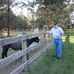 Profile Picture of Jerry Tobin (@jerry.tobin.71) on Facebook