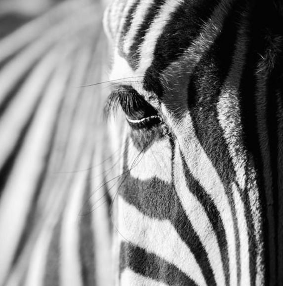 Profile Picture of Craigjr Kendrickjr (@craigjrkendrick) on Poshmark