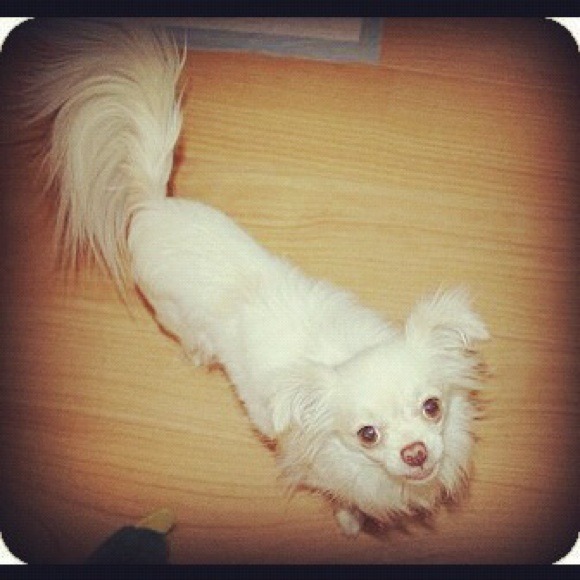 Profile Picture of Melli Cc (@mellii) on Poshmark