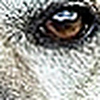 Profile Picture of Boothy. (@Boothy.) on Flickr