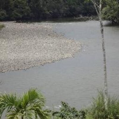 Profile Picture of Raúl Marcelo Guartatanga Vásquez (@RGuartatanga) on Twitter