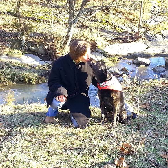 Profile Picture of Whitney Rainero (@chilimag) on Poshmark