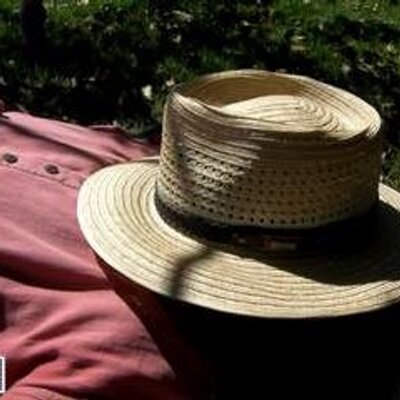 Profile Picture of Alex Nicolson (@alexnicolsonHB) on Twitter