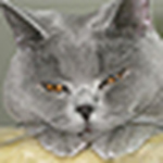 Profile Picture of David Xiang (@xiw_zhj) on Flickr