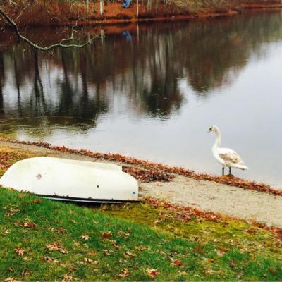 Profile Picture of Kris Grant (@Kgrant927Grant) on Twitter