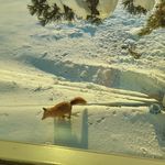 Profile Picture of Nancy Marucci (@debeachbum) on Instagram