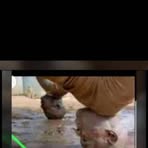 Profile Picture of James Scout (@James-Scout) on Facebook