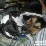 Profile Picture of David Whitesel (@dwdavidwhitesel) on Instagram