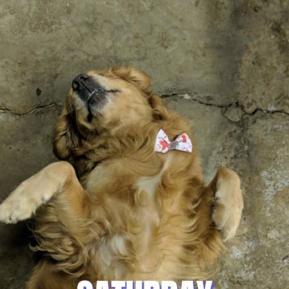 Profile Picture of Chase Monroe (@chasewonder23) on Poshmark