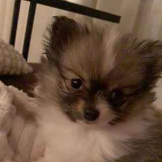 Jay Vanderwoerdt - Facebook Profile Picture of Jay Vanderwoerdt (@Jay-Vanderwoerdt) on Facebook