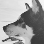 Profile Picture of Kyle Brunson (@brunske15) on Instagram