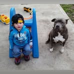 Profile Picture of Tommy Cardell (@Tommy-Cardell) on Facebook