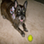 Profile Picture of Deedee Curry Conner Hall (@deedee9711) on Flickr