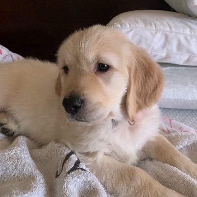 Profile Picture of KELLY GUEST (@KELLYGUEST9) on Twitter