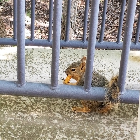 Profile Picture of Jerilyn Greenhaw (@jmgreenhaw) on Poshmark