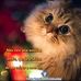 Profile Picture of Michael Peniche (@Michael-Peniche) on Facebook
