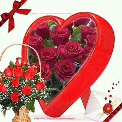 Profile Picture of Mandy Ibrahim (@MandyIbrahim2) on Twitter