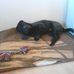Profile Picture of Karl Danneker (@karl.danneker.3) on Facebook