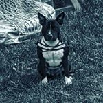 Profile Picture of JEROME CROSS (@jonnydrago1887) on Instagram