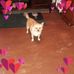 Profile Picture of Joyce Crain (@joyce.crain.946) on Facebook