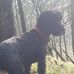 Profile Picture of David Shepherd (@david.shepherd.as8502) on Facebook