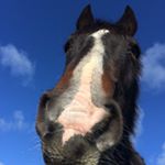 Profile Picture of Tabitha Harrison (@tabithaharrison7) on Instagram