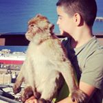 Profile Picture of Albert parra (@albertparra_) on Instagram