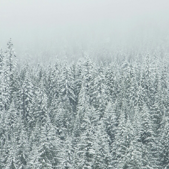 Donald Thompson - Poshmark Profile Picture of Donald Thompson (@drthompsod0853) on Poshmark