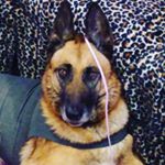 Profile Picture of Jay Thomas (@black_hammer_74) on Instagram