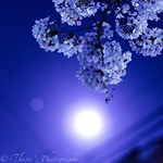 Profile Picture of Ramesh Thapa (@rameshthapa4) on Flickr