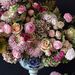 Profile Picture of Flower’s Powers 🌸 (@juliabrami3408) on Pinterest