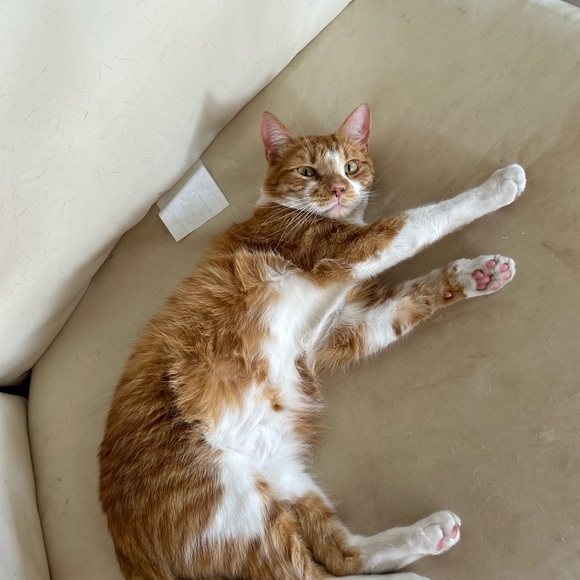 Profile Picture of Hannah Hermansen (@hannahhermansen) on Poshmark