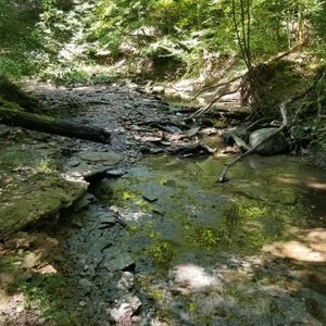 Profile Picture of Brian Keally (@Keally9) on Twitter