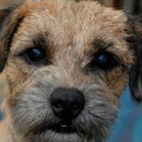 Profile Picture of Daniel Syverson (@daniel-syverson-2) on Quora