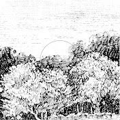 Profile Picture of Adam Craft: Tema (@24 suscriptores) on Youtube