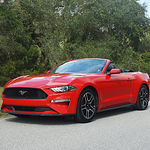 Profile Picture of Peco59 (@peco59) on Flickr