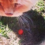 Profile Picture of Taylor😘 (@taylor_dayle) on Instagram