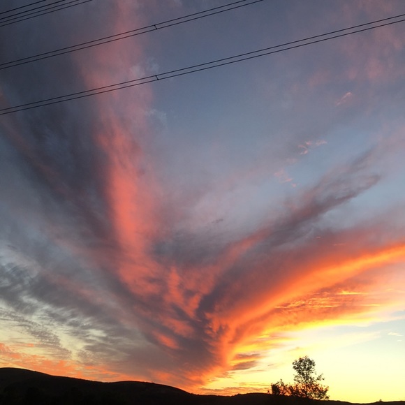 Profile Picture of Mitch Miller (@mitchmiller33) on Poshmark