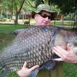 Profile Picture of Phil Moody (@phil.moody.92351) on Instagram