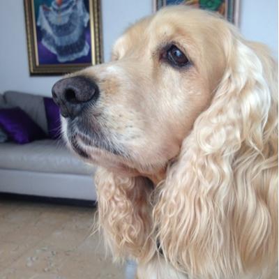 Profile Picture of Ivy Simpson (@Ivyzay18) on Twitter