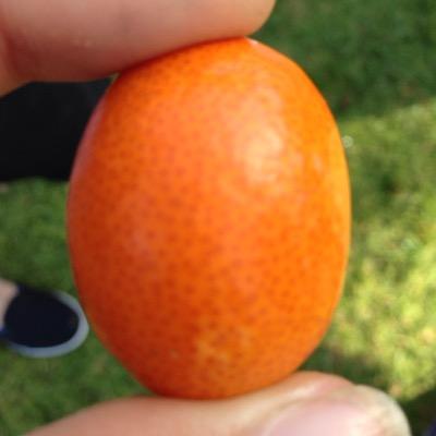 Profile Picture of Crystal Castaneda (@crystal9019) on Twitter