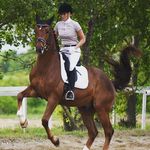 Julia Seiler - Instagram Profile Picture of Julia Seiler (@julies_89) on Instagram