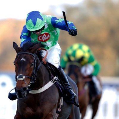 Profile Picture of Michael Legg (@Michael_D_Legg) on Twitter