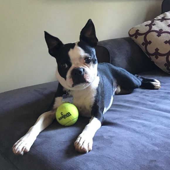 Profile Picture of Brendan Ballon (@brballon04) on Poshmark