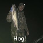 Profile Picture of Sam Molnar (@molnarsam) on Instagram