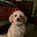 Profile Picture of Janet Reiter (@jreiter10451) on Instagram