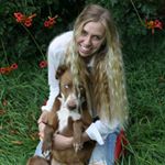 Profile Picture of Brooklyn Krehmeyer (@brooklynk86) on Instagram