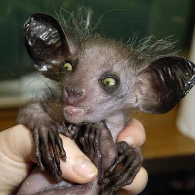 Profile Picture of Kendra Alder (@kendrawan80) on Twitter